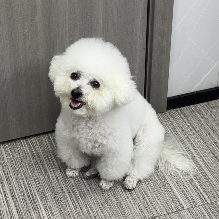 楠🐾