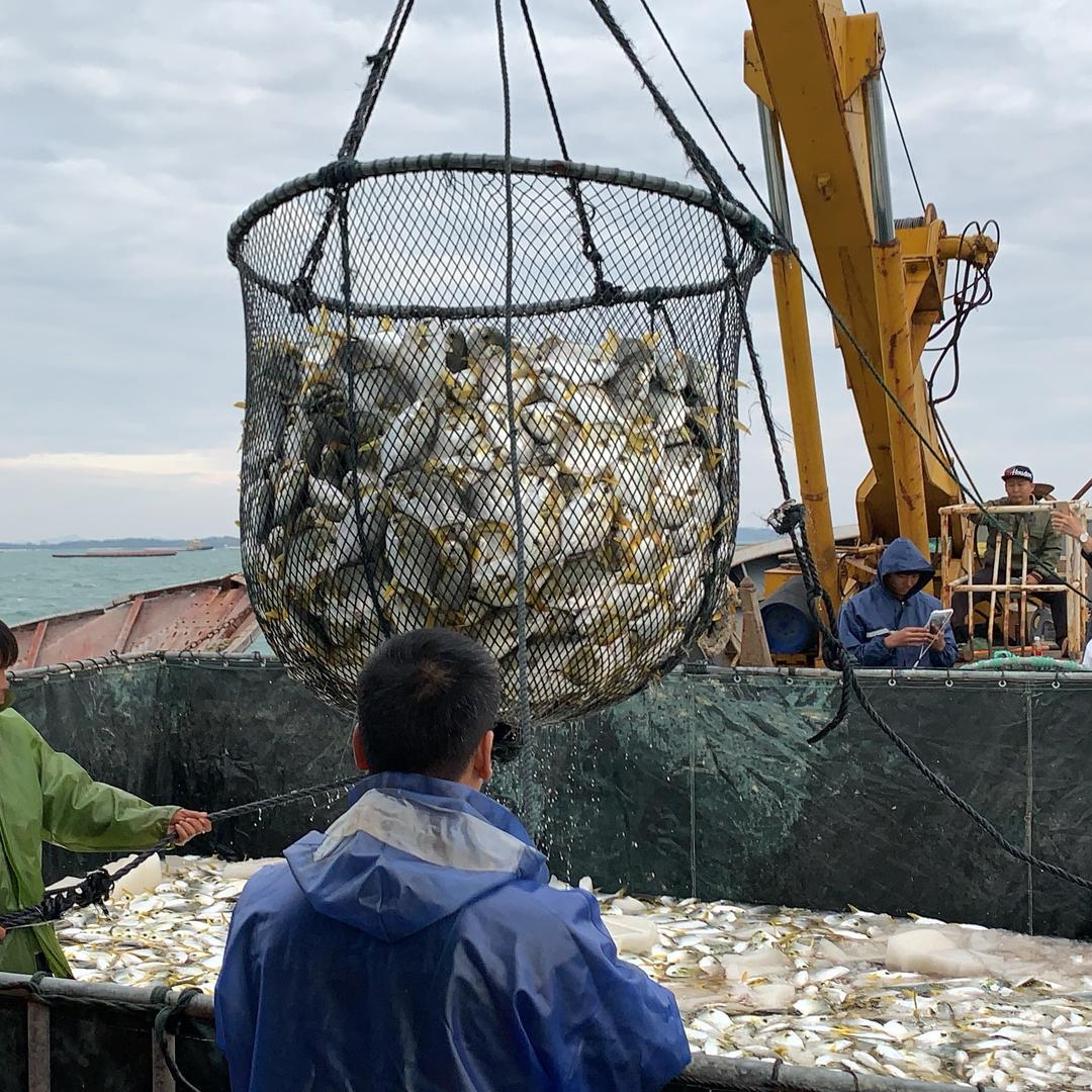 大鱼海鲜铺源头好鲜