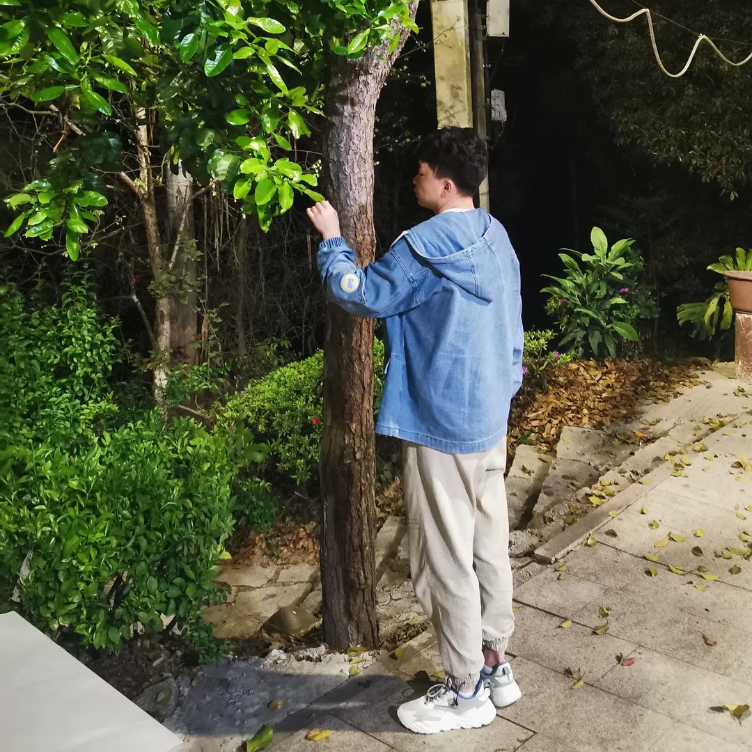 阿强.陈皮