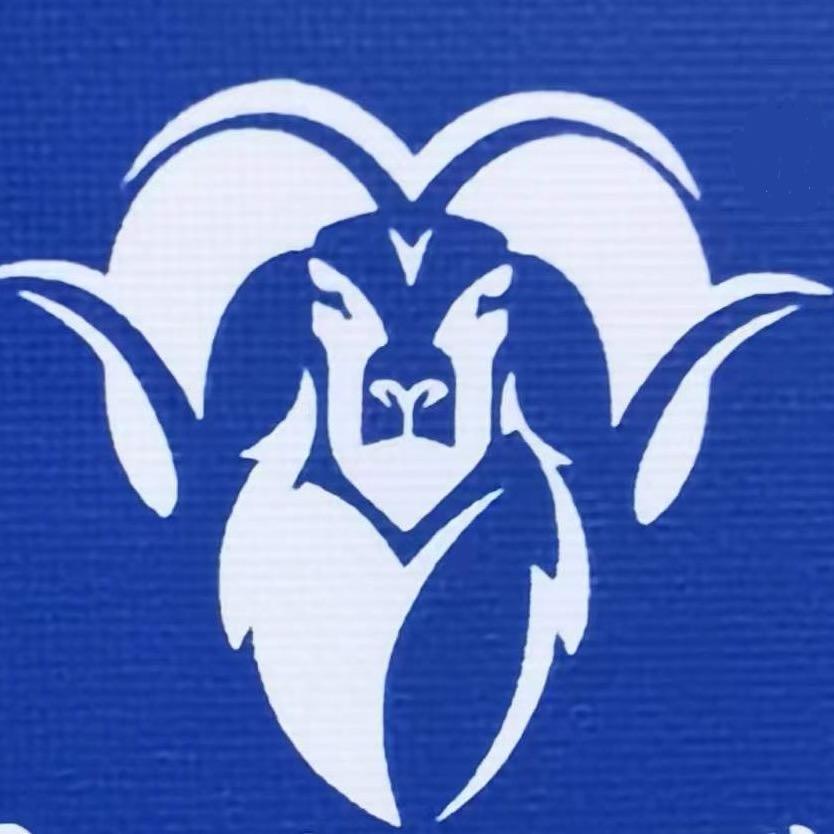 大漠头羊风干肉精选店