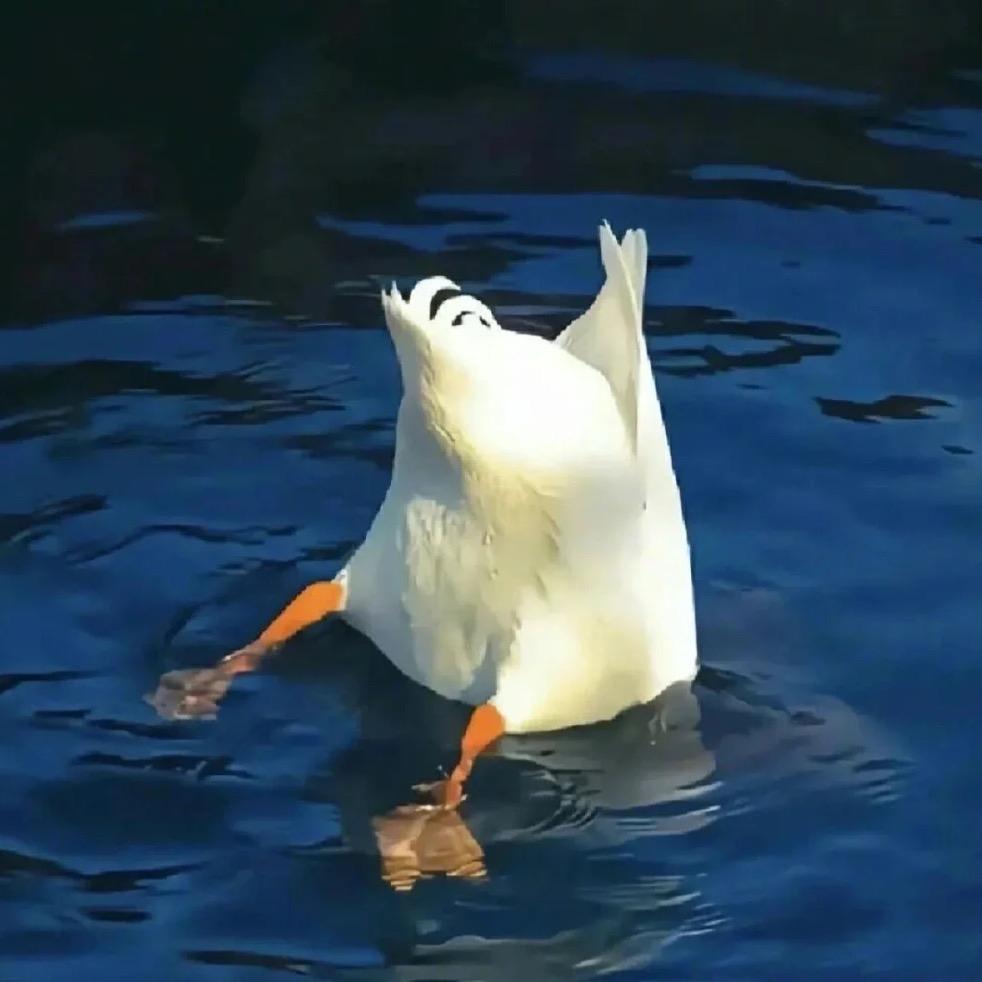 v给