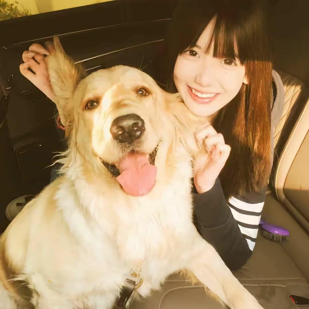 火 页