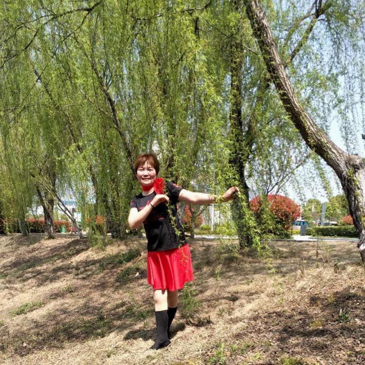 权美眉