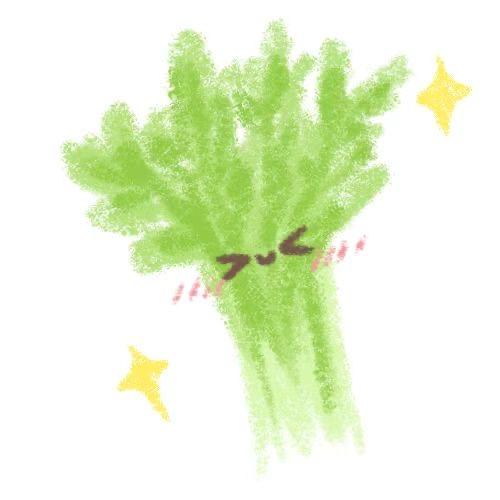 芹菜本菜