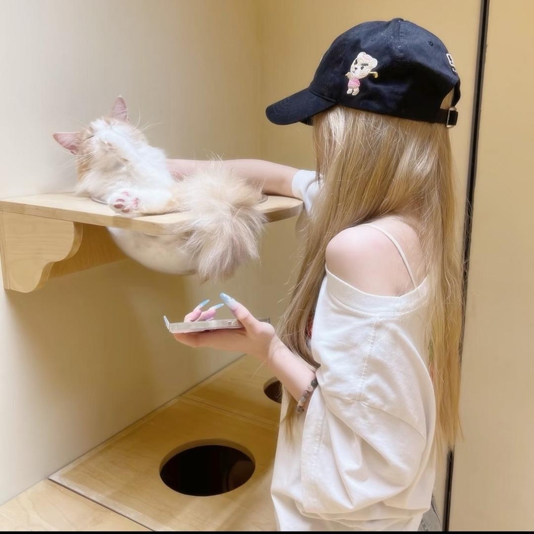 绝味香菜