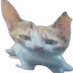 大刘_