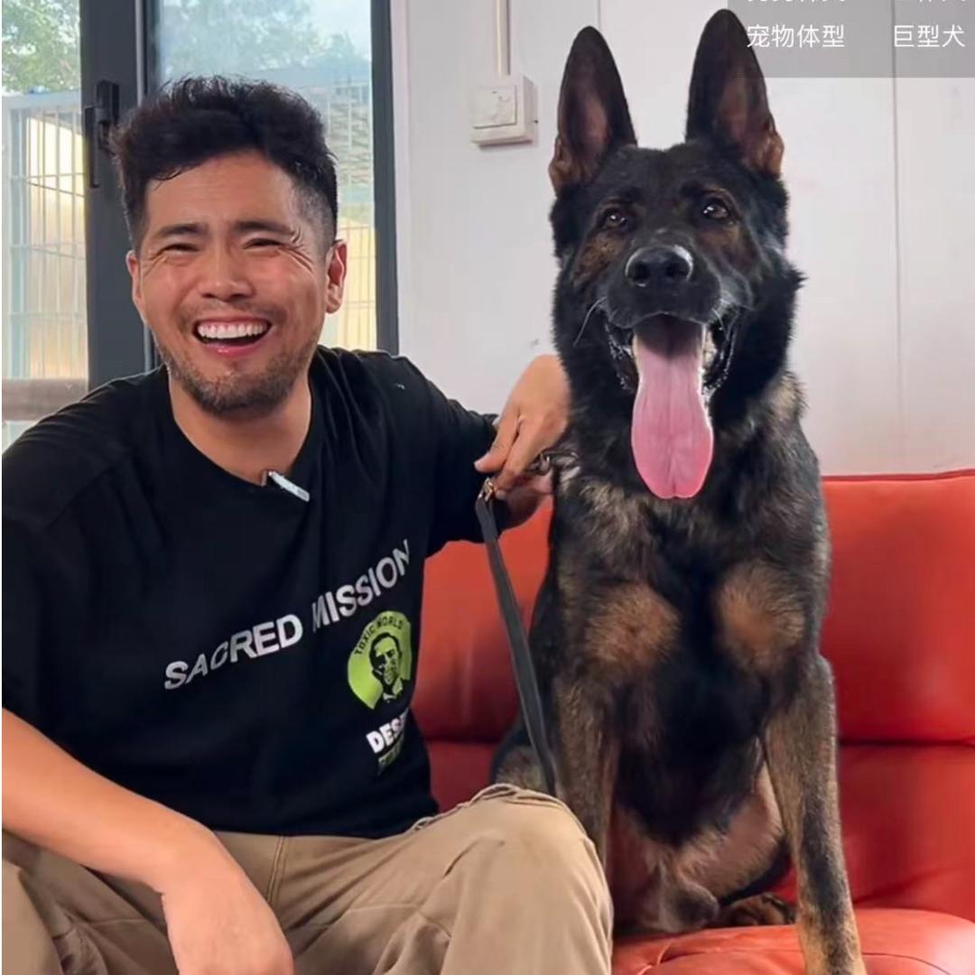 三安（超越巅峰犬舍直播号）