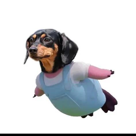 屎没憋住被护工暴打