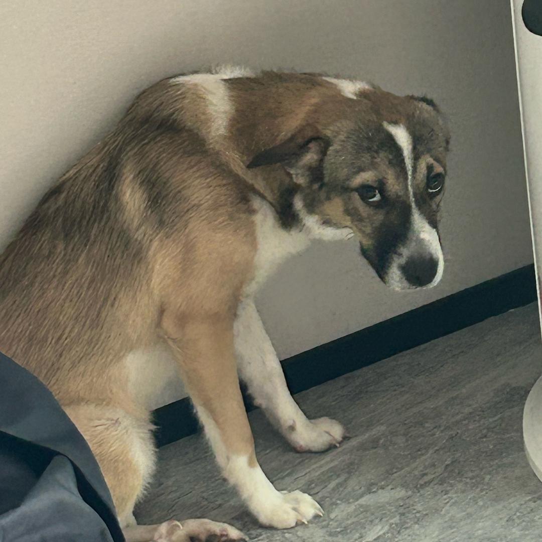 主角禁止开挂