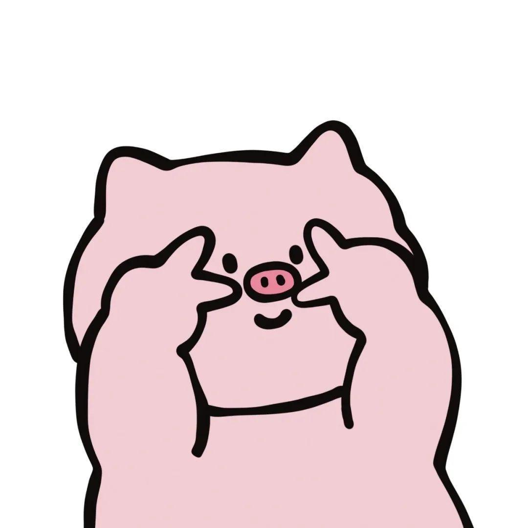 糕oO
