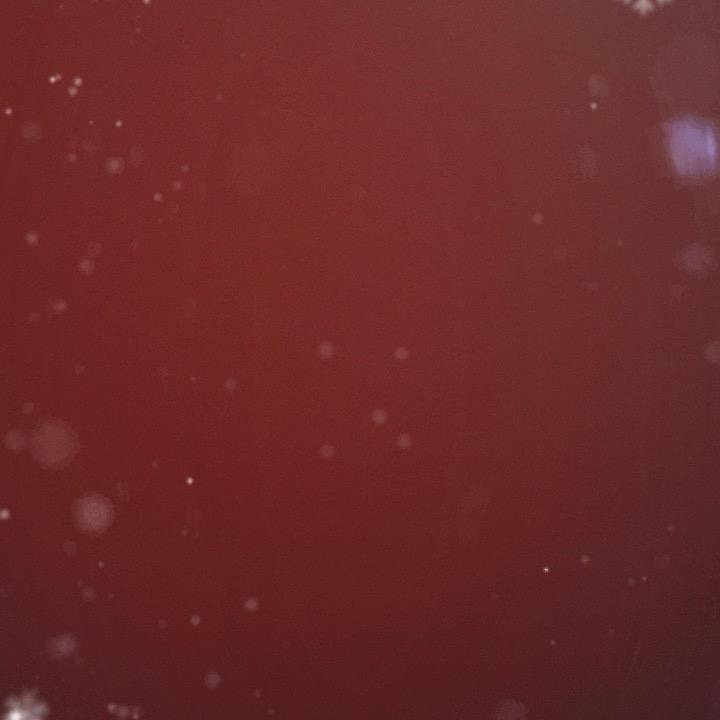 秋