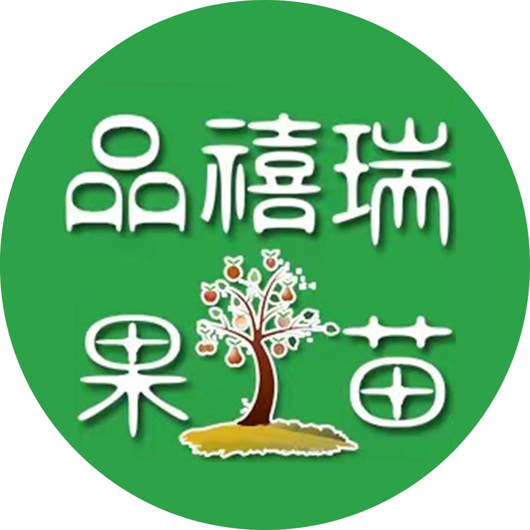 品禧瑞果苗浙江果树苗木专卖店