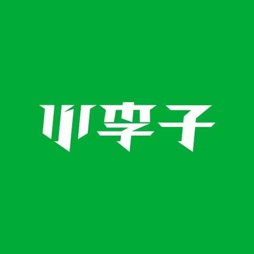 小李子足球