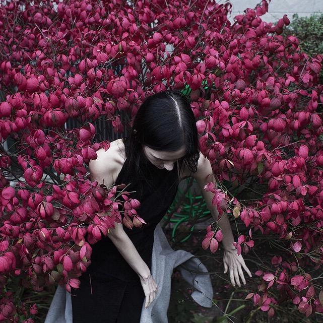 吐司酱〰️