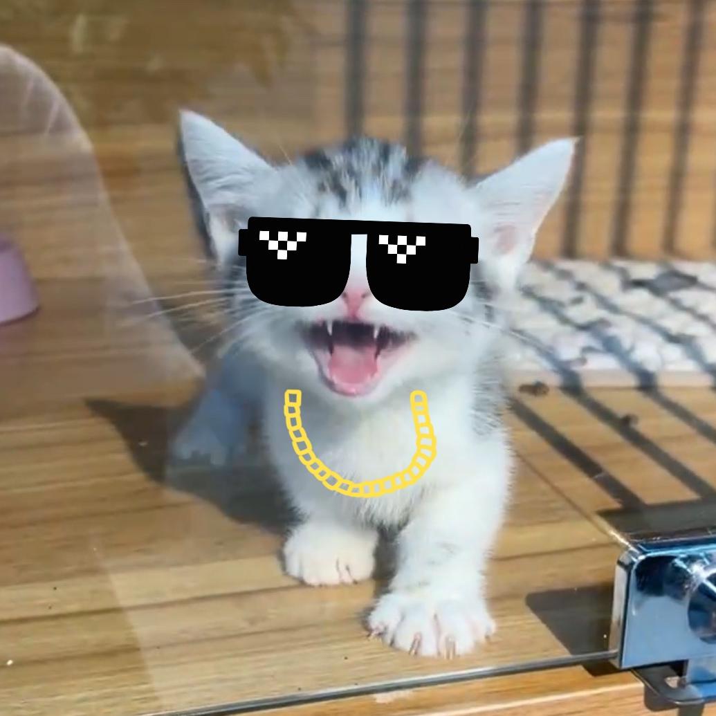 豆皮一点都不皮@抖音