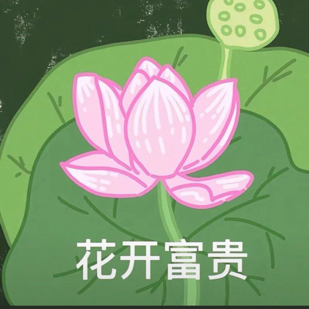 是念念念阿