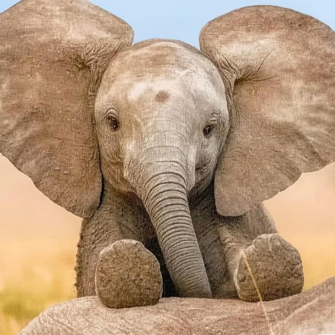 和我一起学习吧