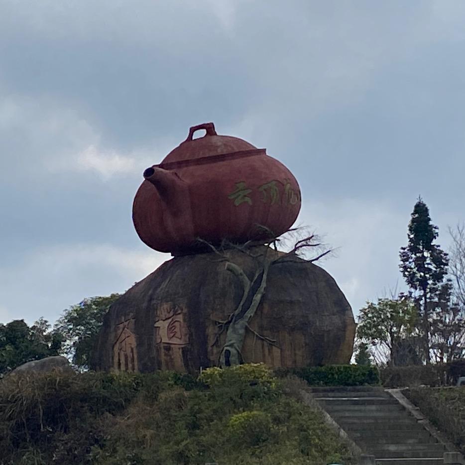 我姓林：双木林