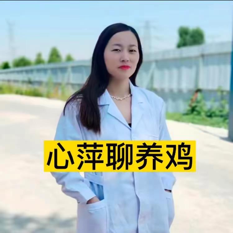 心萍聊养鸡