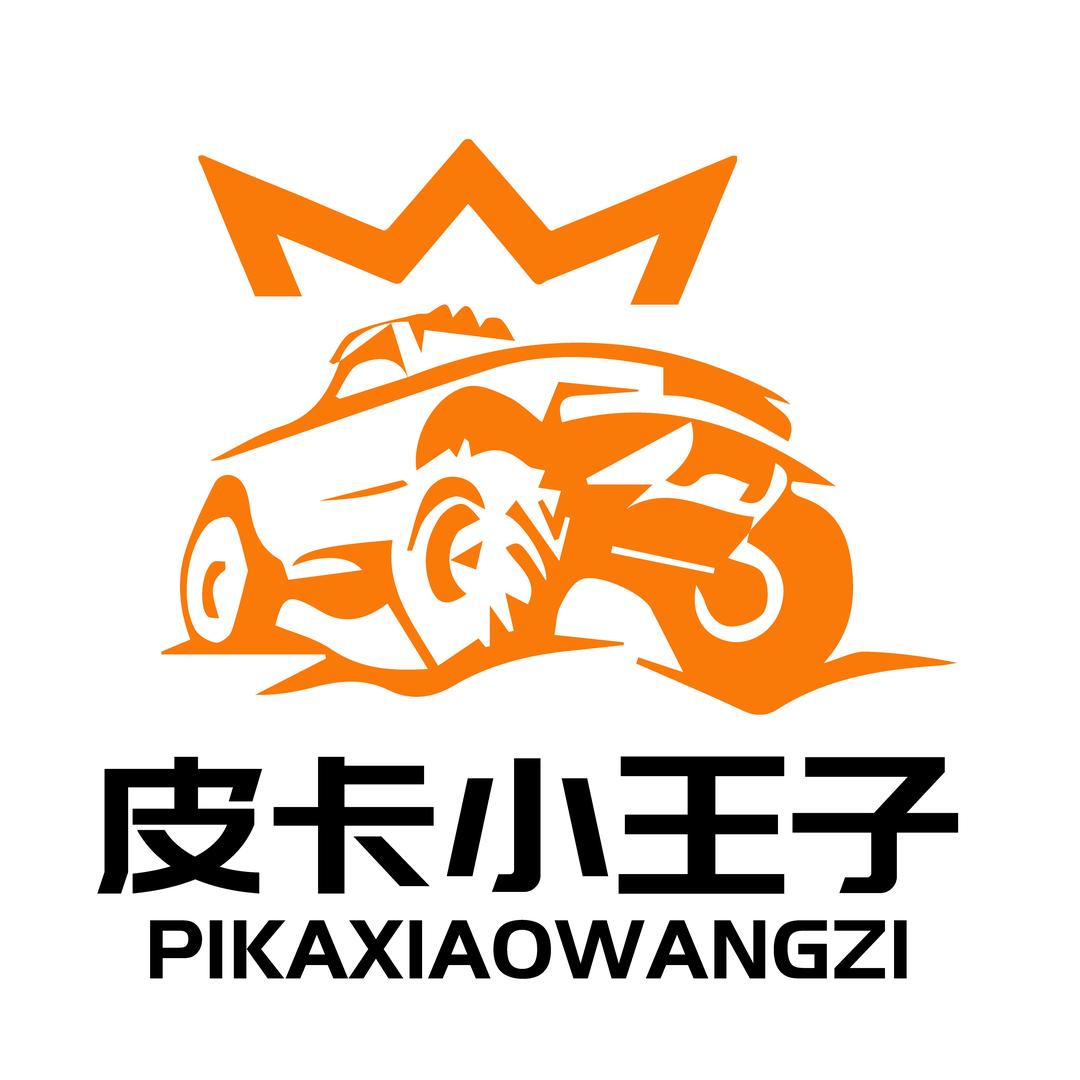 皮卡小王子·二手车
