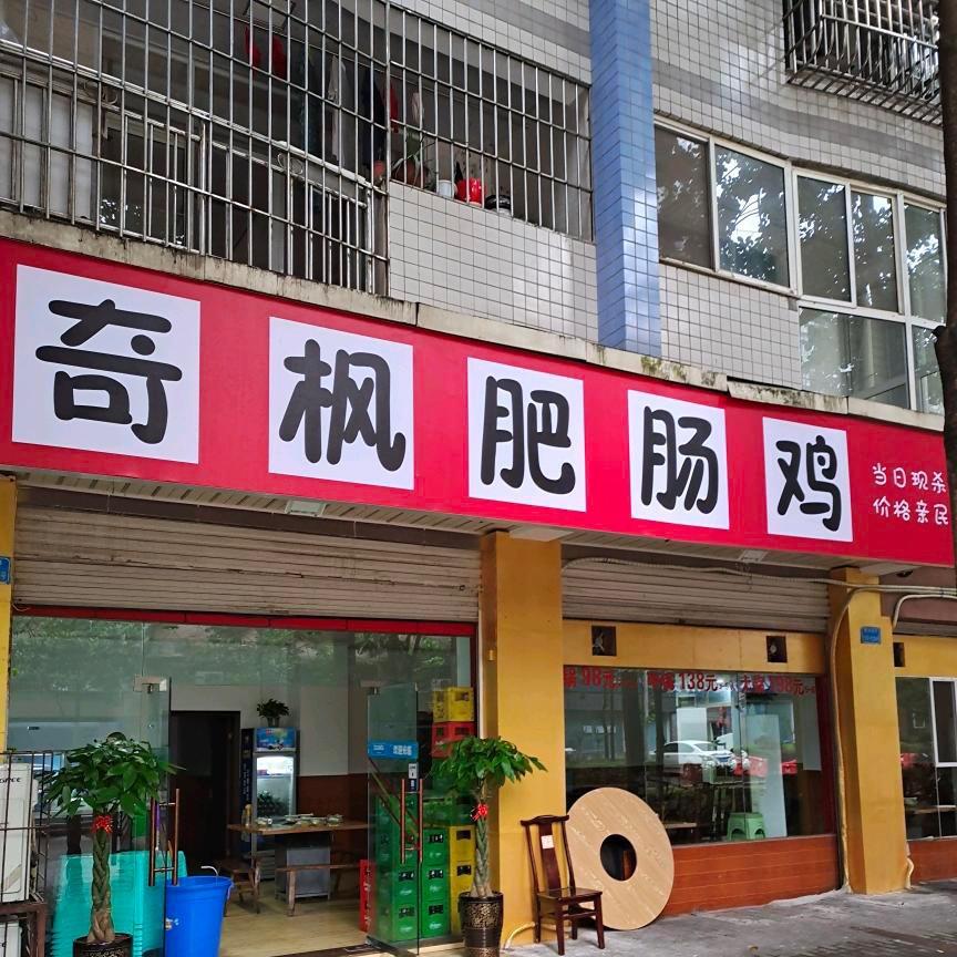 奇枫肥肠鸡