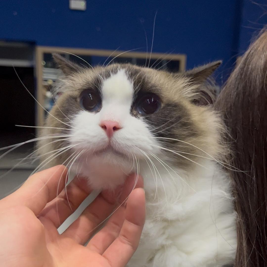 把黑暗交给星光.