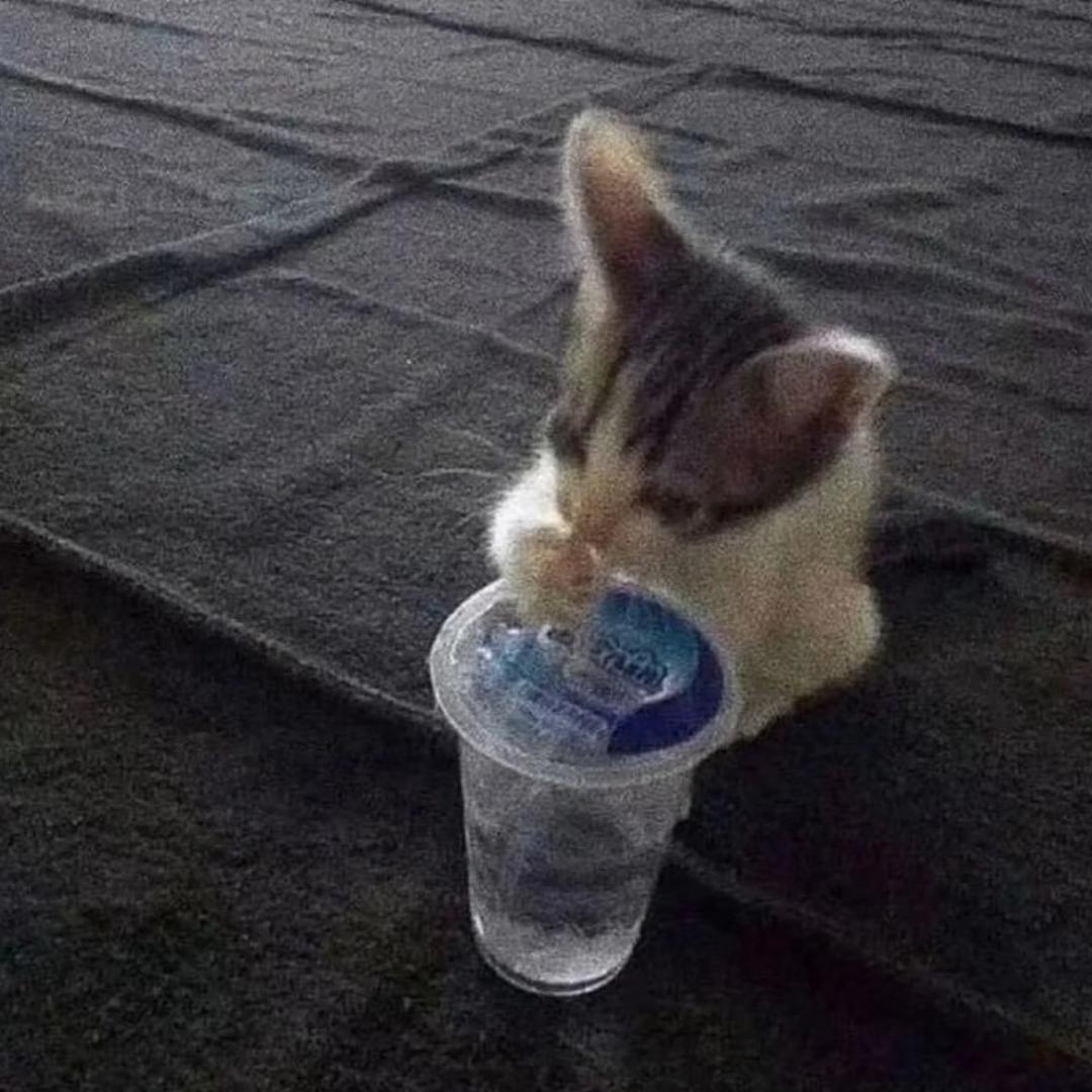 你为什么总这样