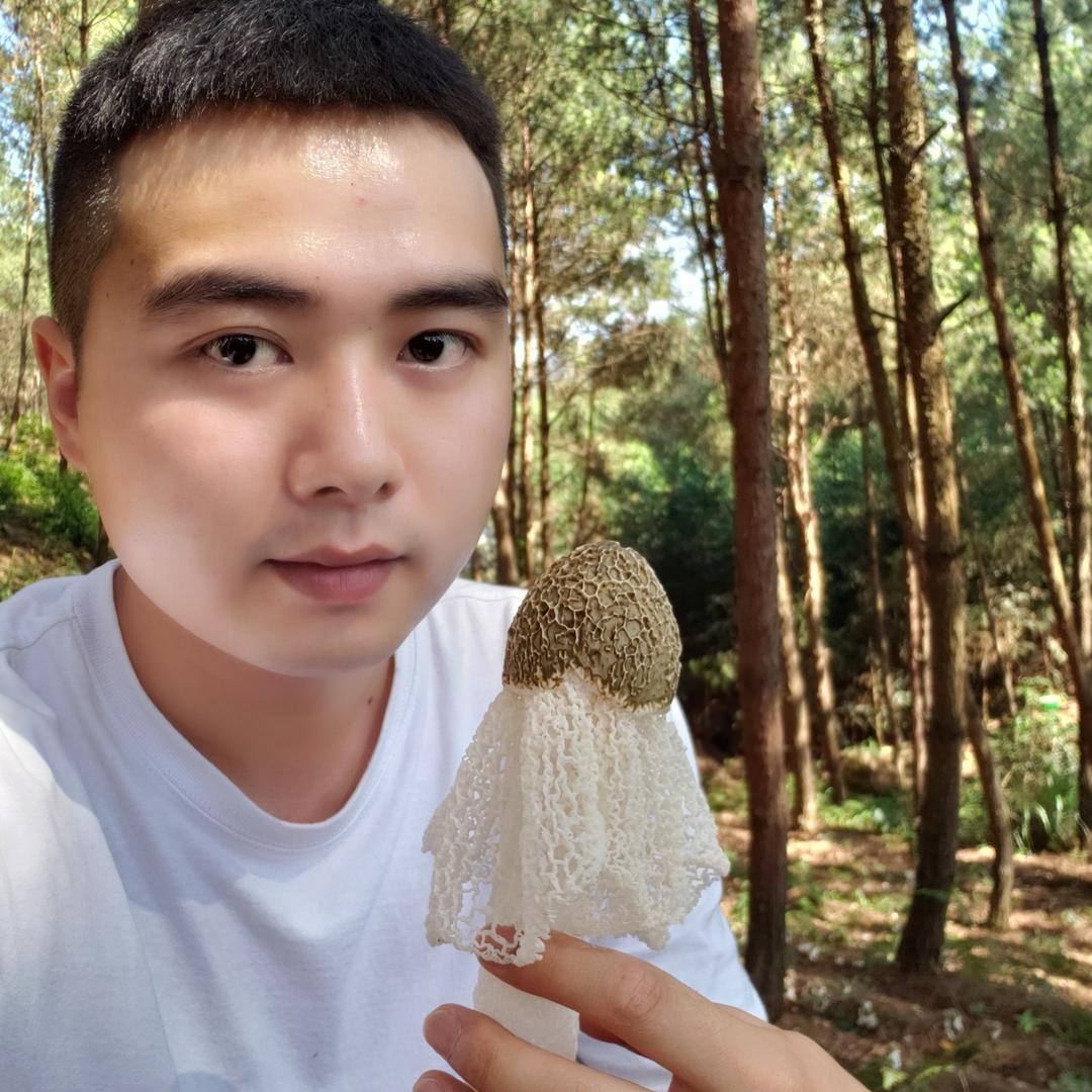 宜宾竹荪_阿鸿