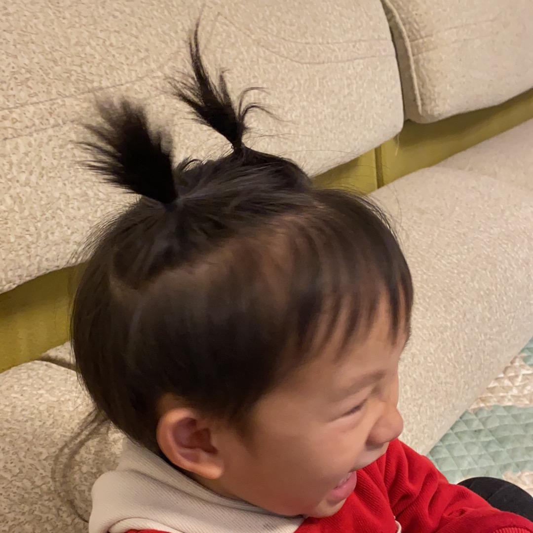 小鹿宠物水族臻选阁