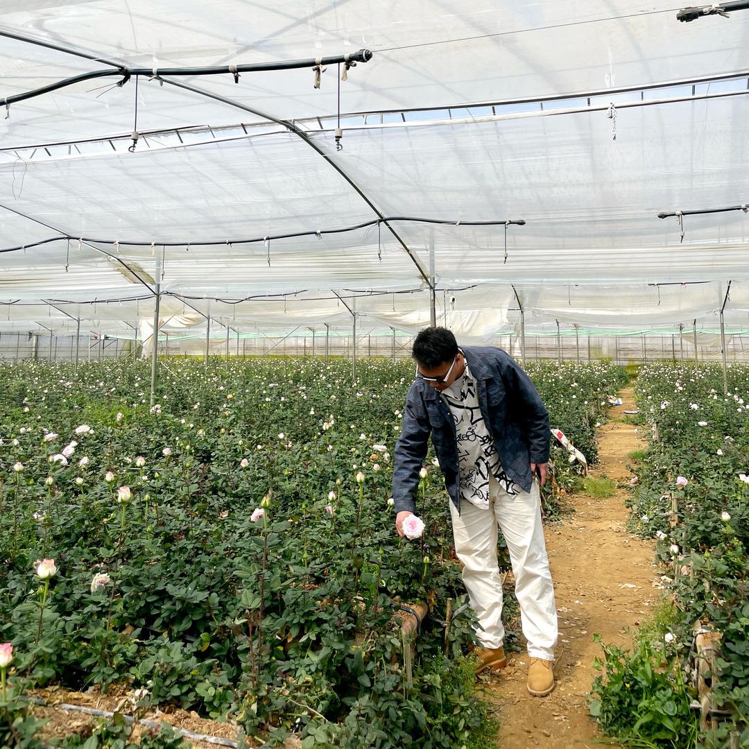 卖花的隔壁小王