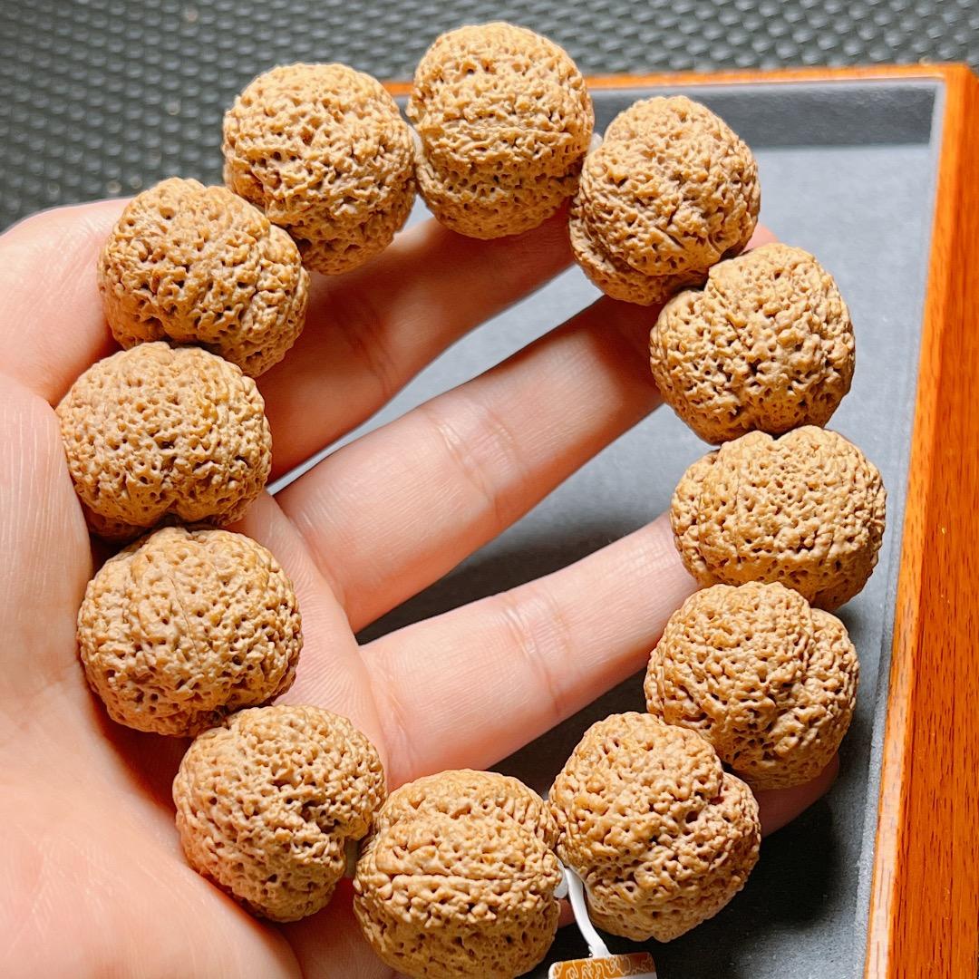 大橙子菩提