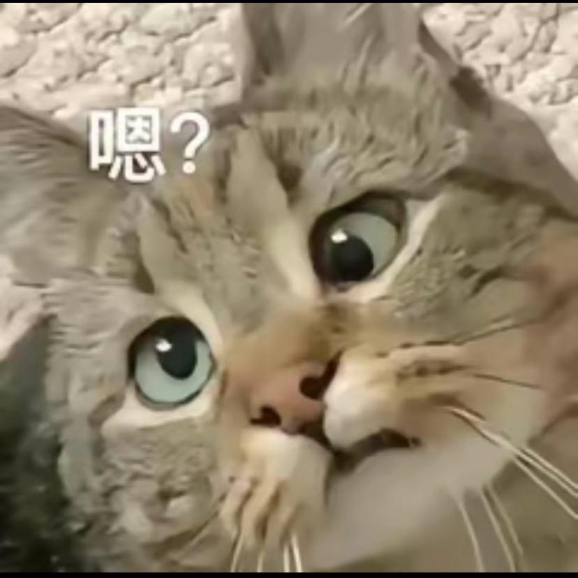 翻斗花园王总