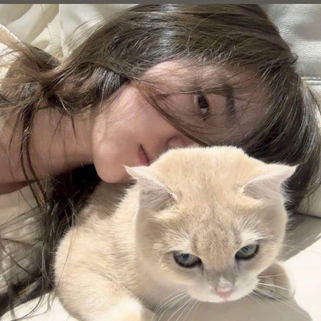 小兔和小蛇❤️