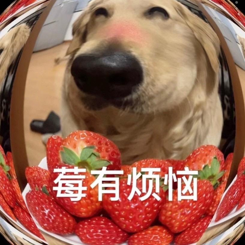 皓xiao月
