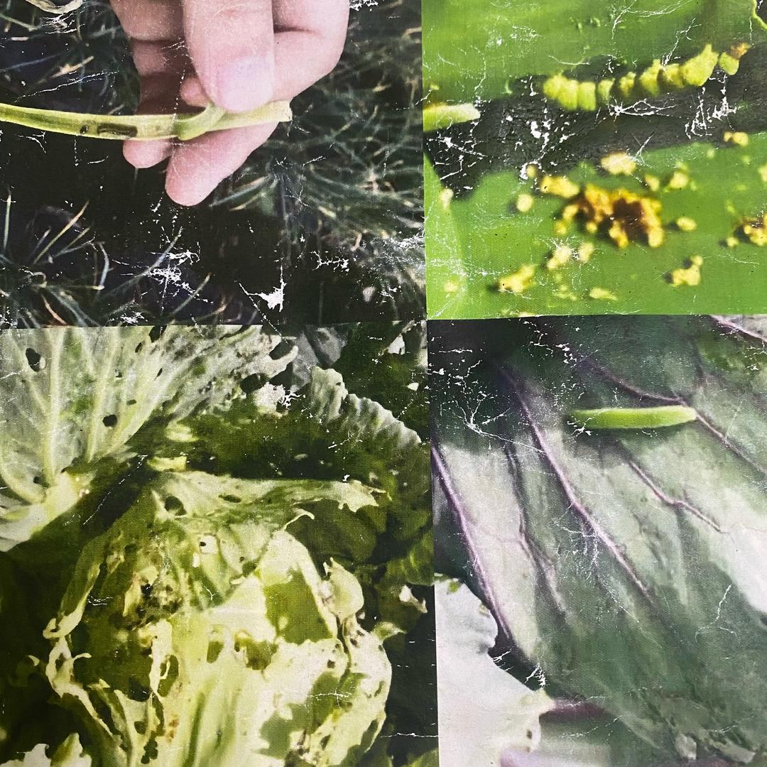 滢源信商务信息咨询有限公司5号