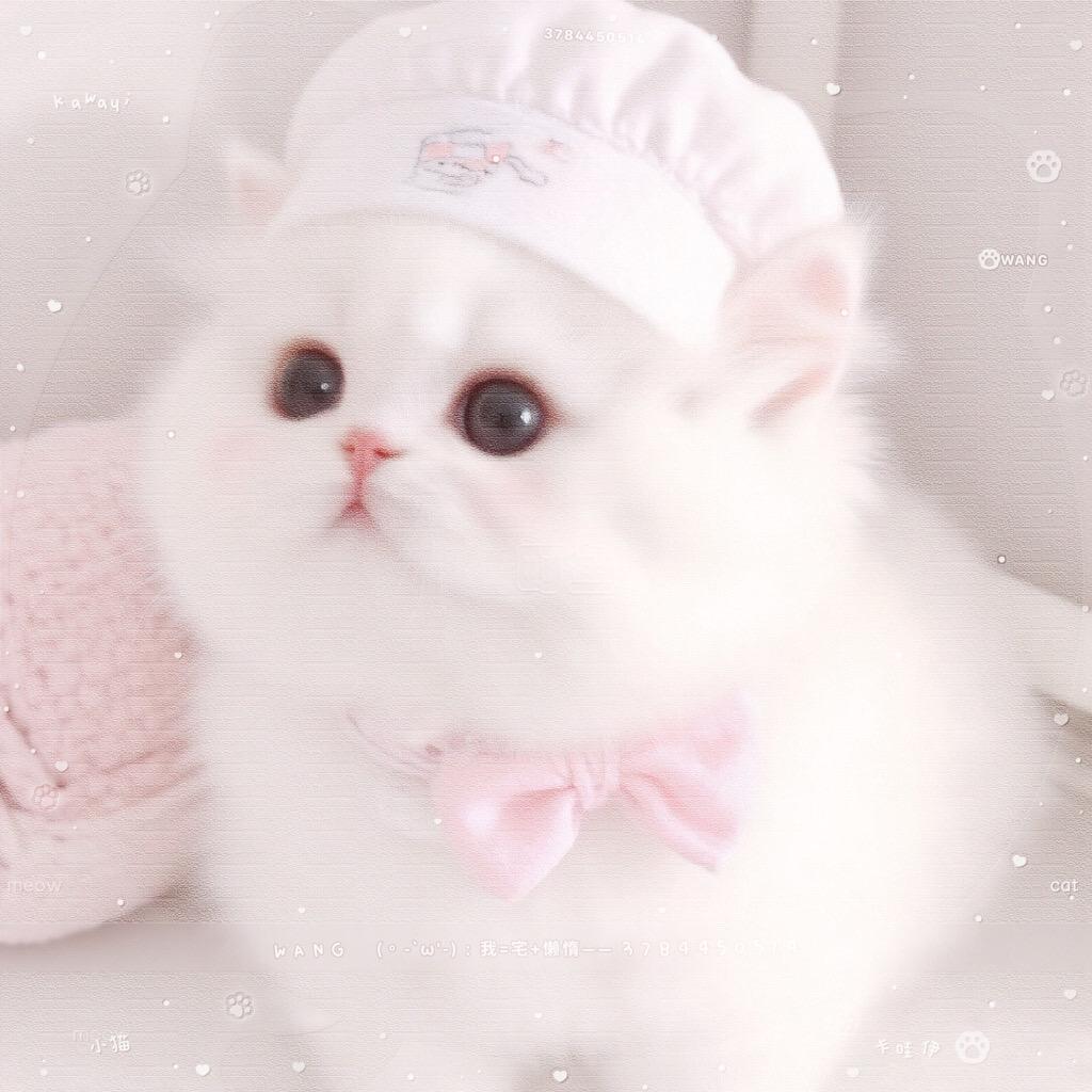 町鱼（没回就在大号）