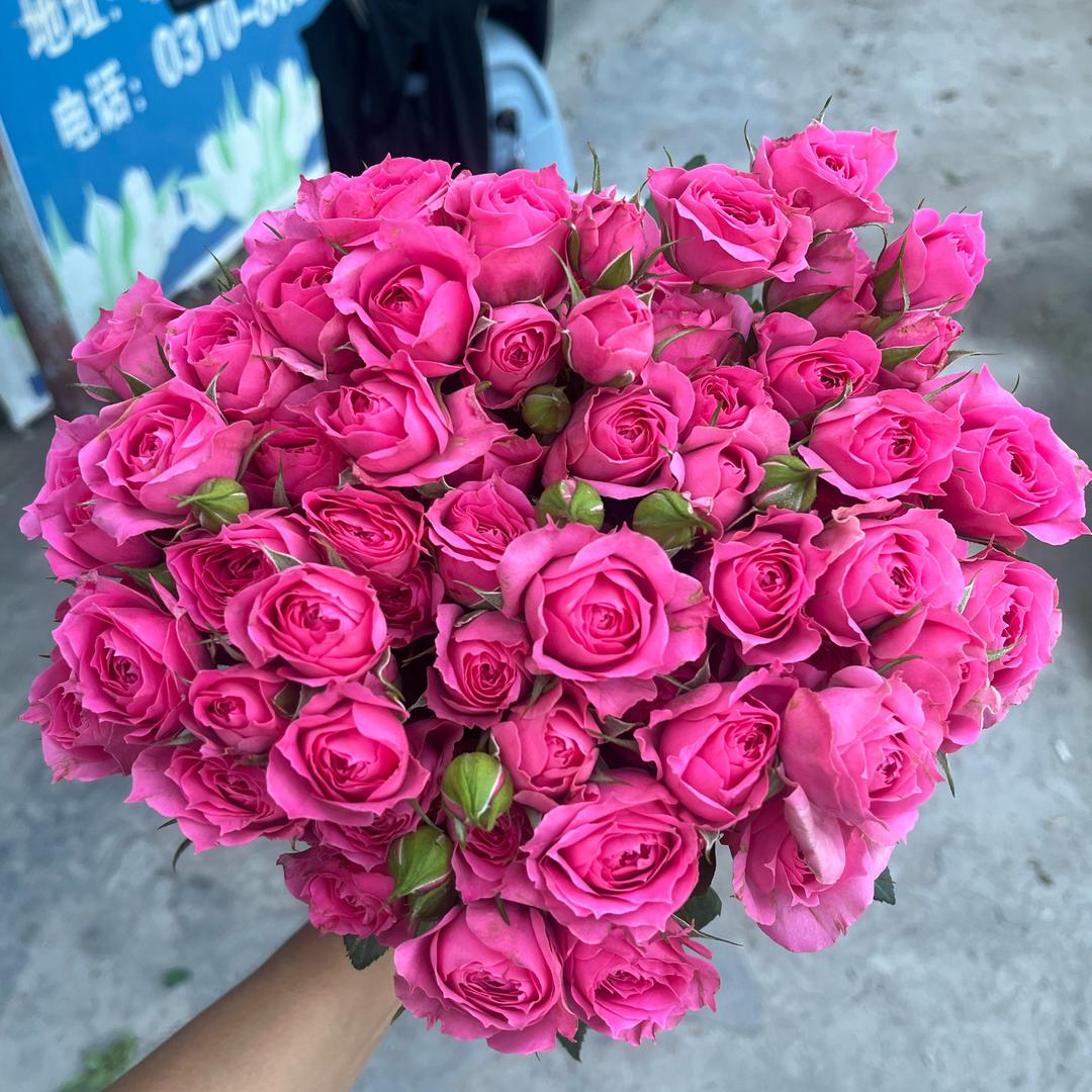 邯郸幸福鲜花批发
