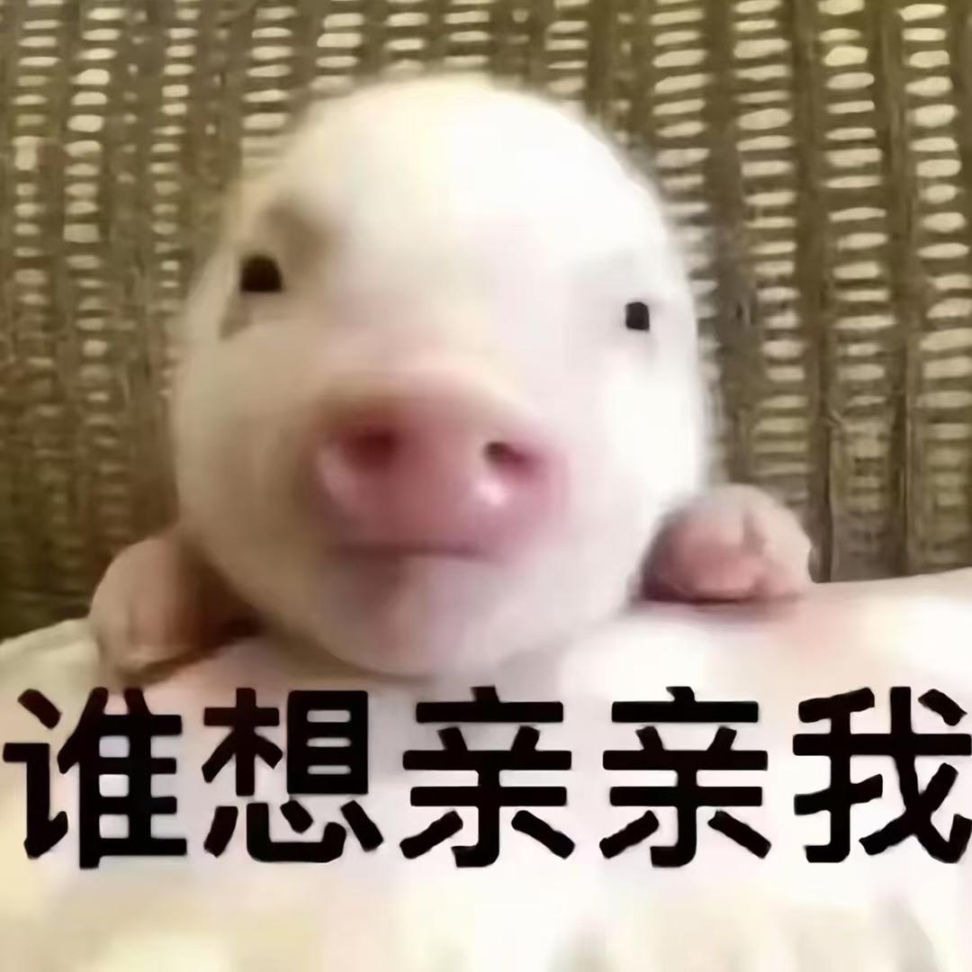 嘴巴不是用来亲的