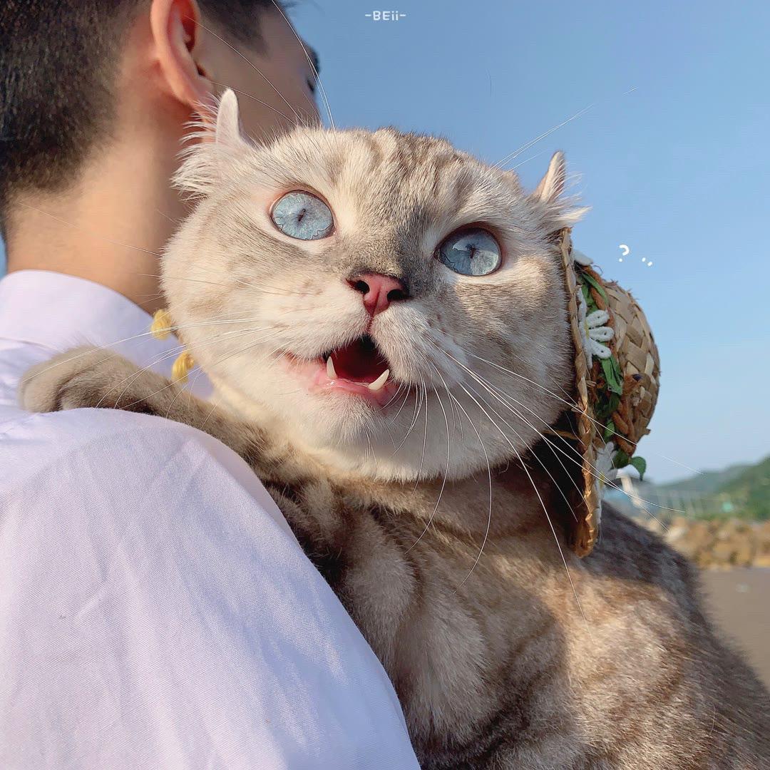 @李大明白