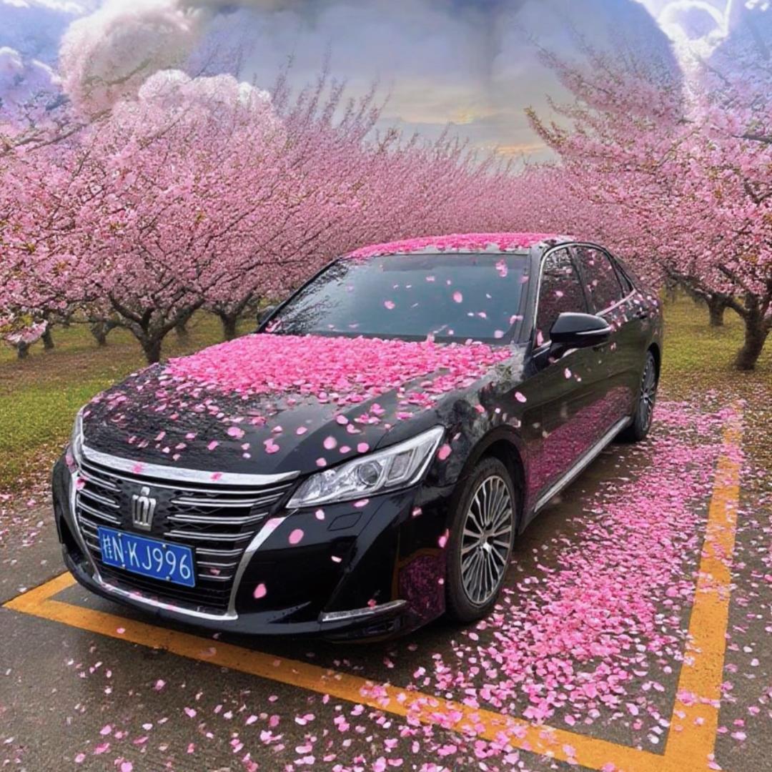 轩莹