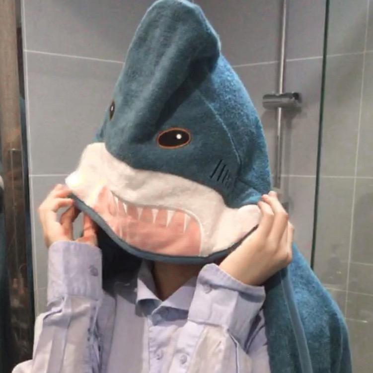 rainrainshark