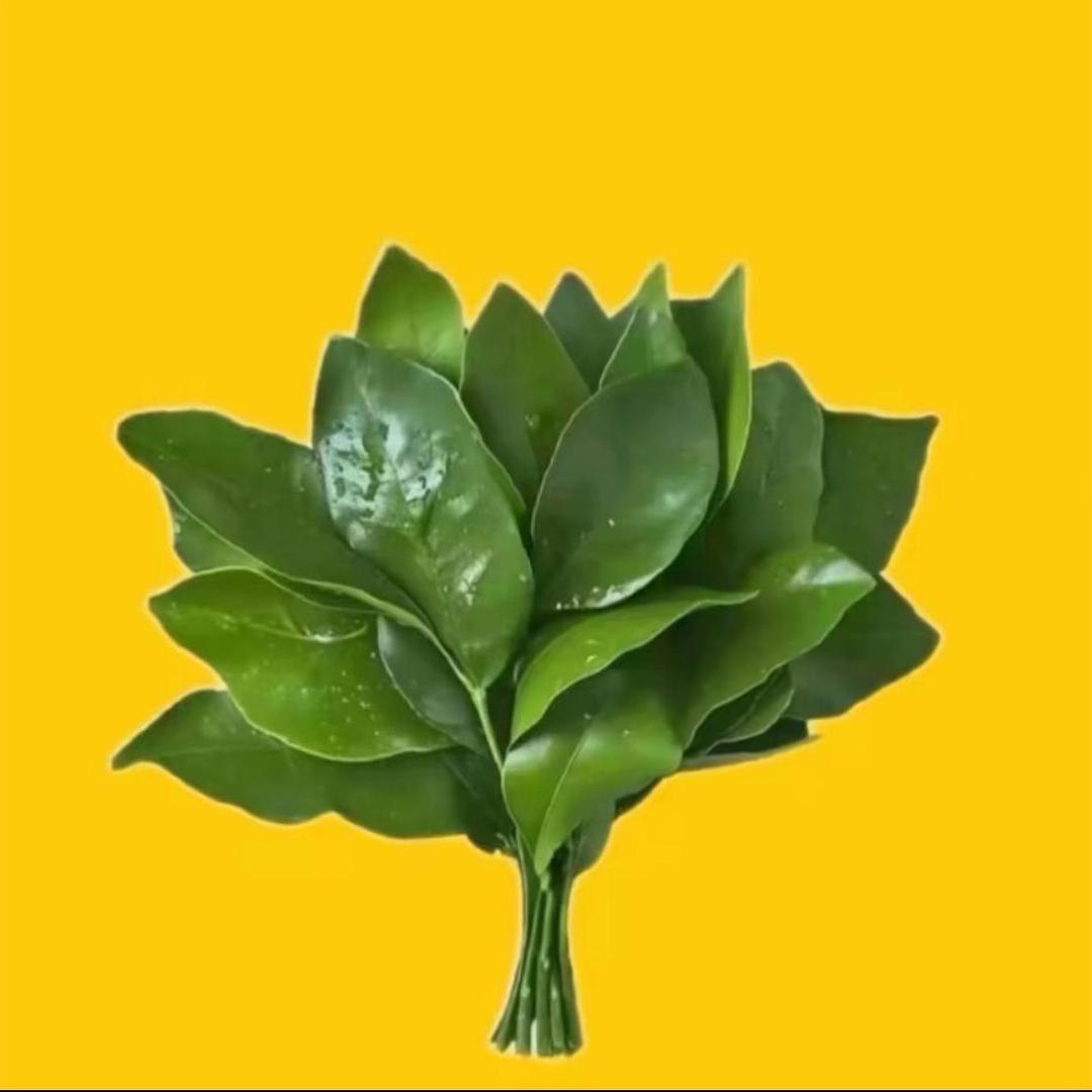 能喝一点点
