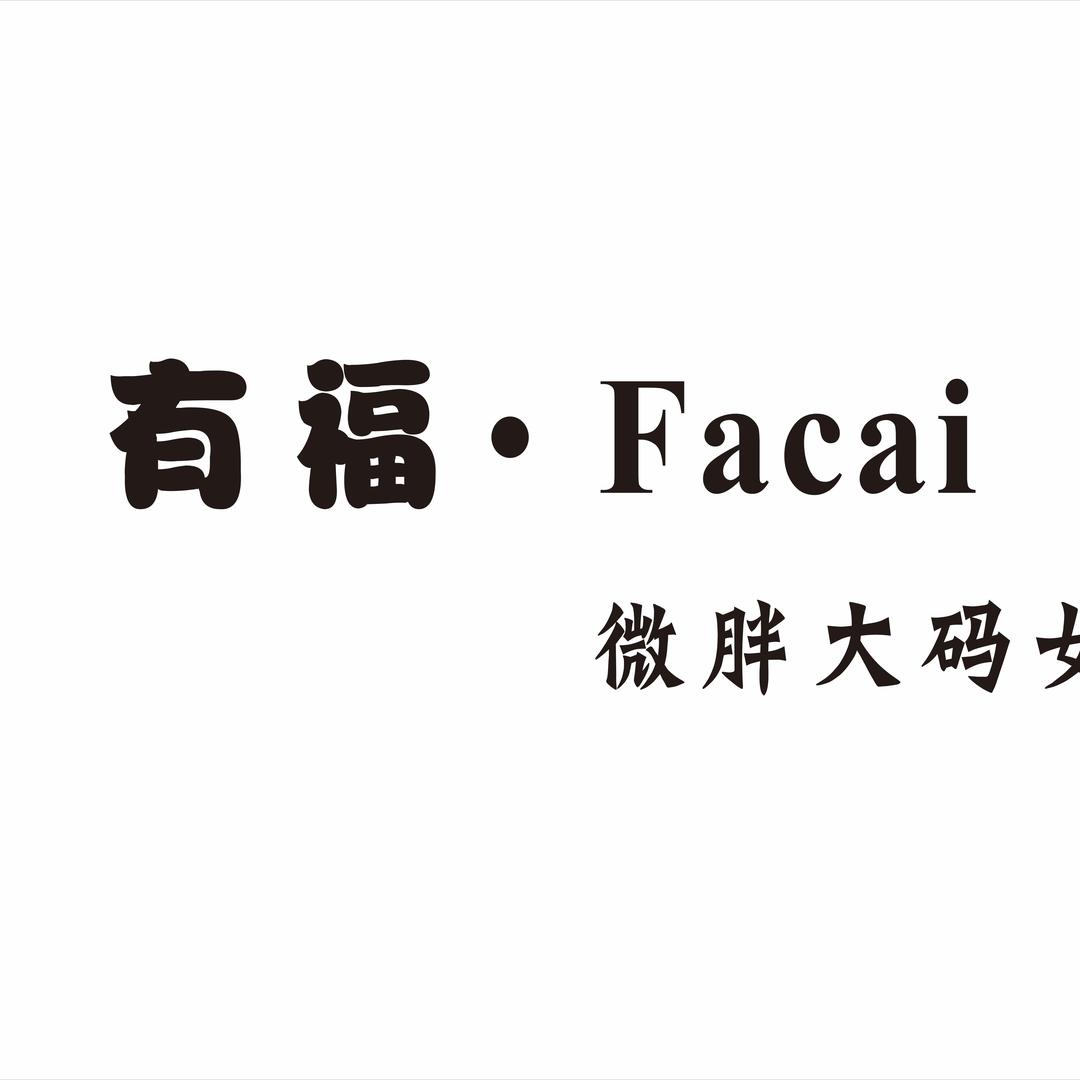 有福•Facai微胖大码女装（成武店）