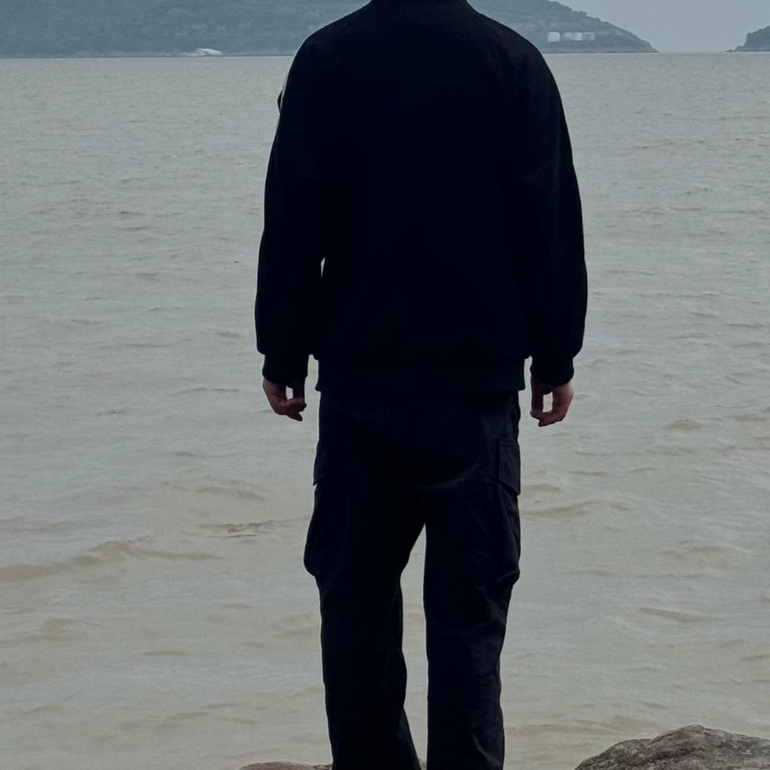 扶摇.