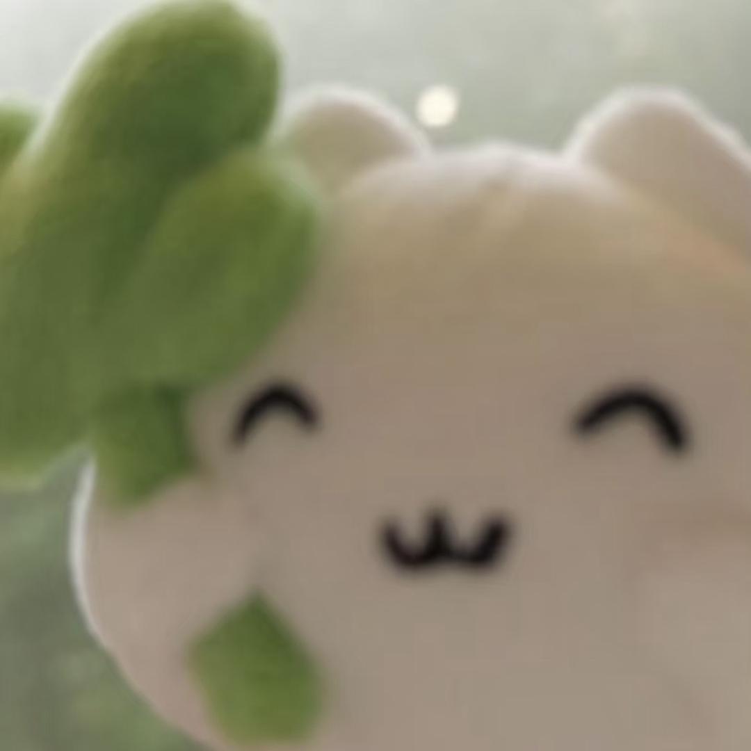 今日已打烊