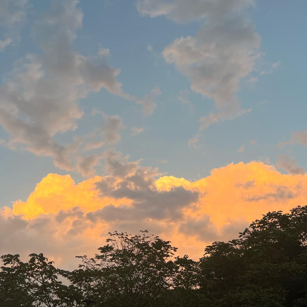 雲