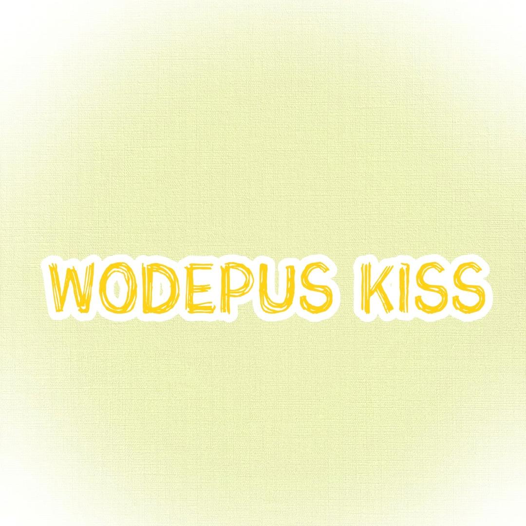 WODEPUS KISS内衣旗舰店