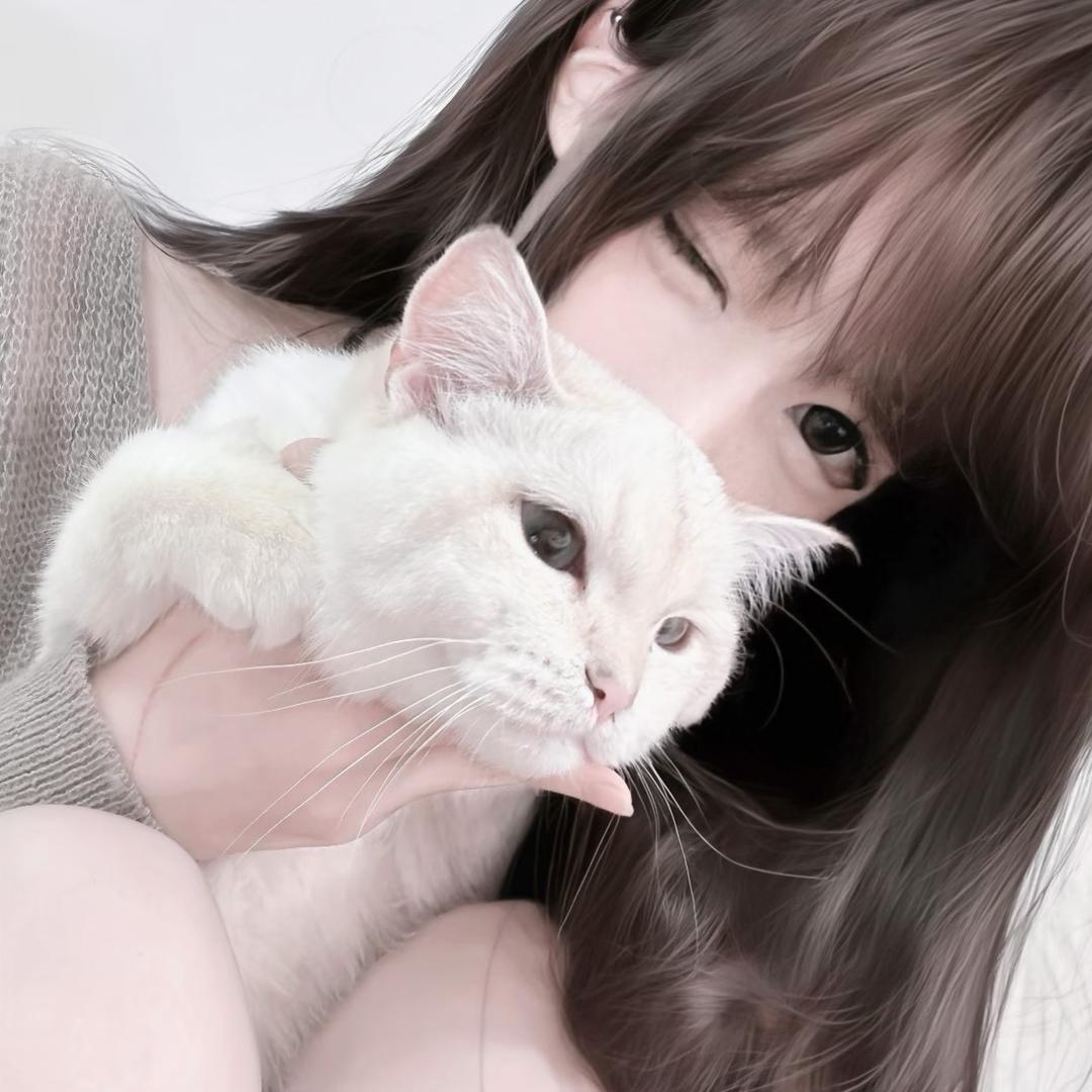 理想主义