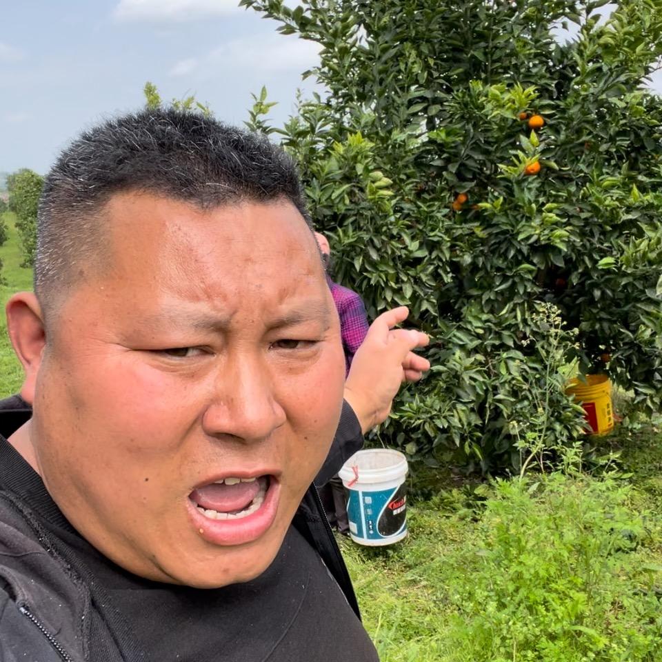 浩霖果品