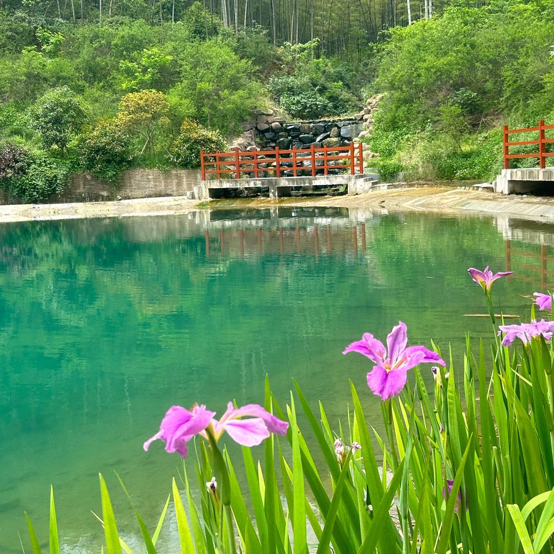 灿灿